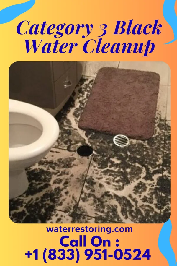 Category 3 Black Water Cleanup in Keedysville, MD