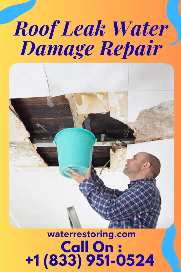 Roof Leak Water Damage Repair in Keedysville, MD