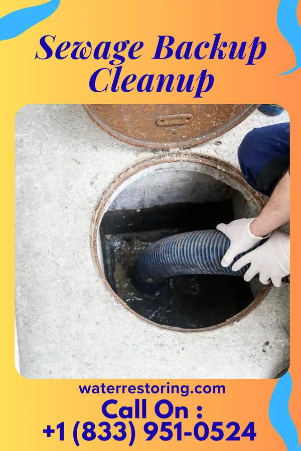 Sewage Backup Cleanup in Keedysville, MD