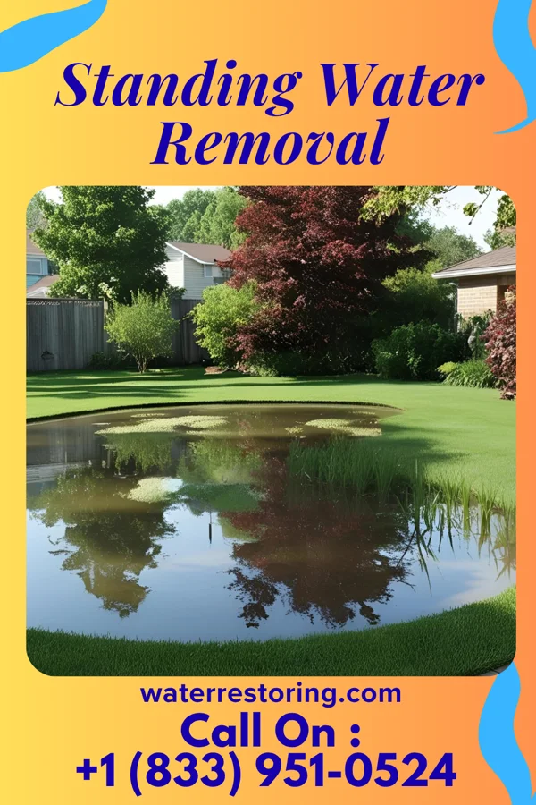 Standing Water Removal in Keedysville, MD